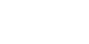 Current logo in white